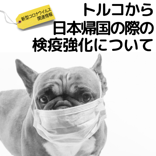 新型コロナウイルス関連情報(62-63)ートルコから日本帰国の際の検疫強化について