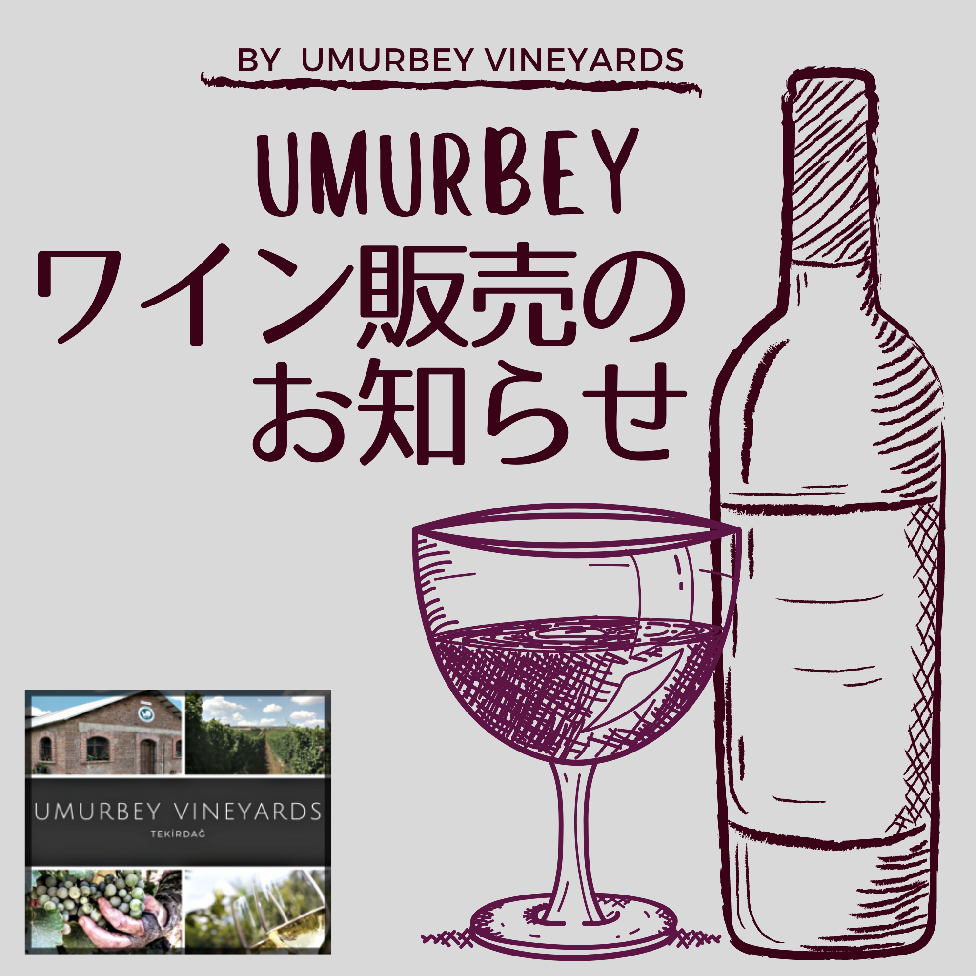 Umurbey ワイン販売のお知らせ