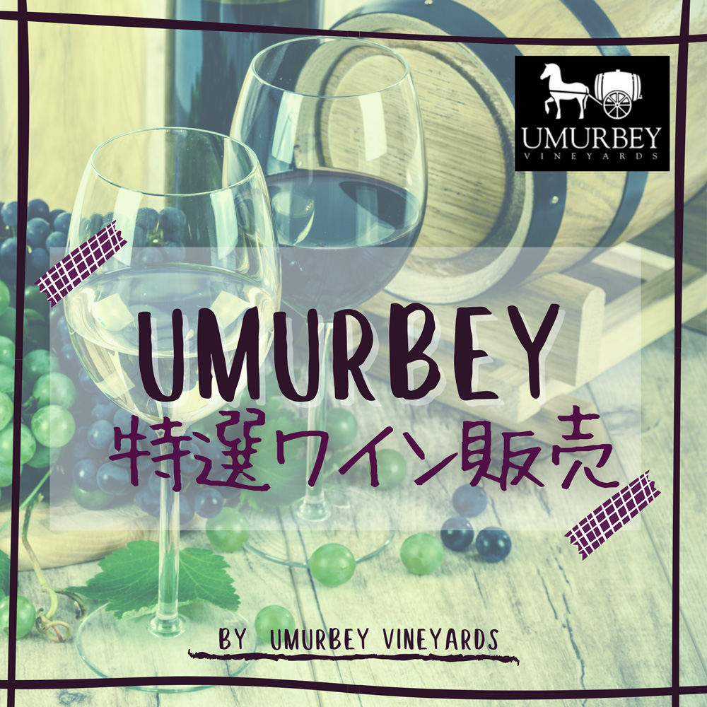 [販売終了] UMURBEY特選トルコワイン販売